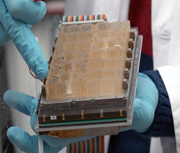 Meet Evatar, a Lab Experiment That Mimics Our Reproductive System. She Just Had Her First Period!