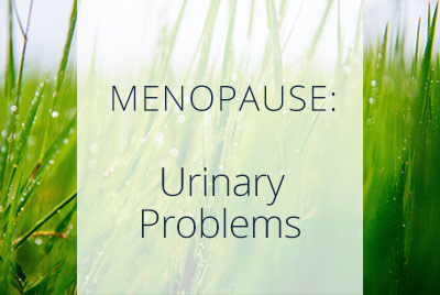 Menopause, Urinary Problems, Gynecologist Thais Aliabadi, Los Angeles