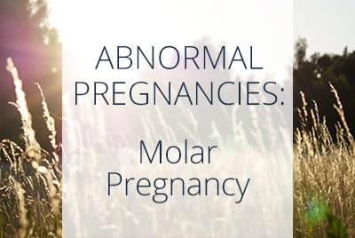 Obstetrics, Abnormal Pregnancies, Molar Pregnancy, Gynecologist Thais Aliabadi in Los Angeles