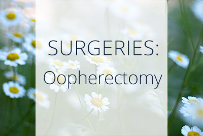 About Oophorectomy Procedure, Thais Aliabadi, Los Angeles Gynecological Surgeon