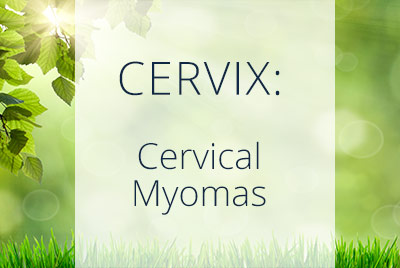 About Cervical Myomas, Los Angeles Gynecologist and Gynecological Surgeon Thais Aliabadi 