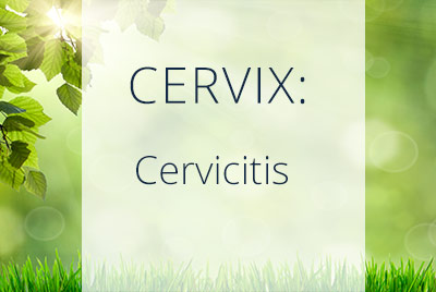 Cervix, cervicite, Menopause Center Los Angeles