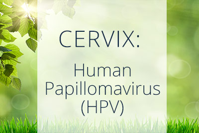 Human Papillomavirus, HPV explained by noted Los Angeles Gynecologist and Gynecological Surgeon Thais Aliabadi 