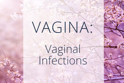 About Vaginal Infections by Los Angeles Gynecologist Thais Aliabadi located near Beverly Hills at Cedars-Sinai Hospital