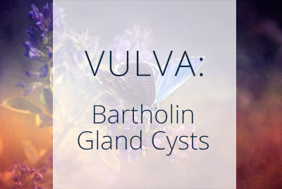 Vulva, Bartholin Gland Cysts