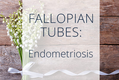Fallopian Tubes, Endometriosis, Menopause Center Los Angeles