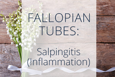 Inflammation of the Fallopian Tubes, Salpingitis, Los Angeles Gynecologist and Gynecological Surgeon Thais Aliabadi 