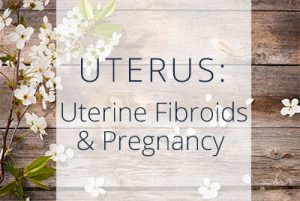 uterus fibroidsandpregnancy