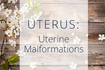 Uterine Malformations explained by Los Angeles Gynecologist Thais Aliabadi located near Bevery Hills at Cedars-Sinai