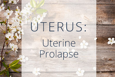 Uterine Prolapse Symptoms and Causes