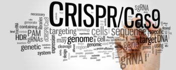 crispr-next-antibiotic-main CRISPR next antibiotic