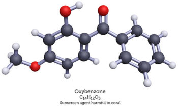 Sunscreen Sm