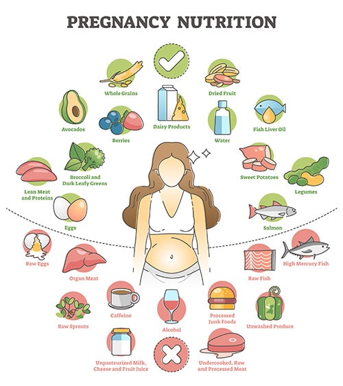 Diagram of pregnancy foods to eat and foods to avoid.