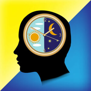 Circadian Rhythm