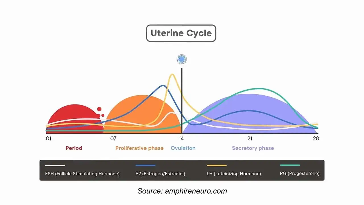 Hormone cycle chart showing changing peaks across menstrual cycles