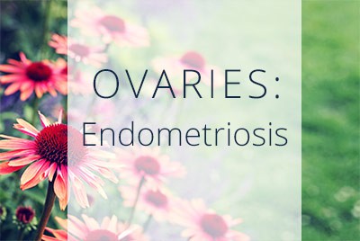 Ovarian Conditions, Endometriosis and Painful Periods, Advacned OBGYN Care Los Angeles